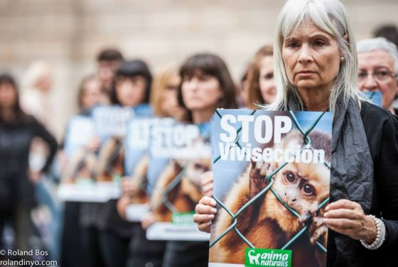 В Испании прошла акция  против  использования животных в  экспериментах