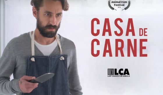 Лауреат  Animal Film Festival  фильм «Мясной дом» (Casa de Carne)  с русскими субтитрами